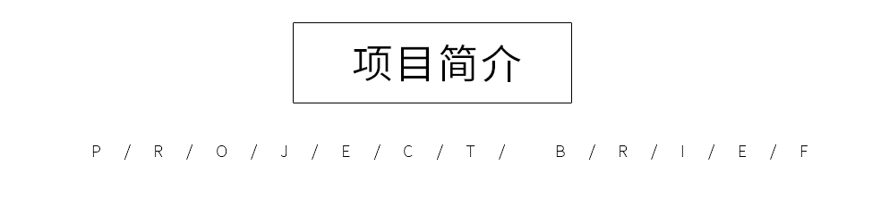 項(xiàng)目簡(jiǎn)介.png